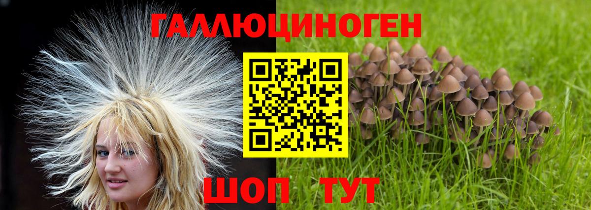 Псилоцибиновые грибы Cubensis  Вход с VPN  Армавир 
